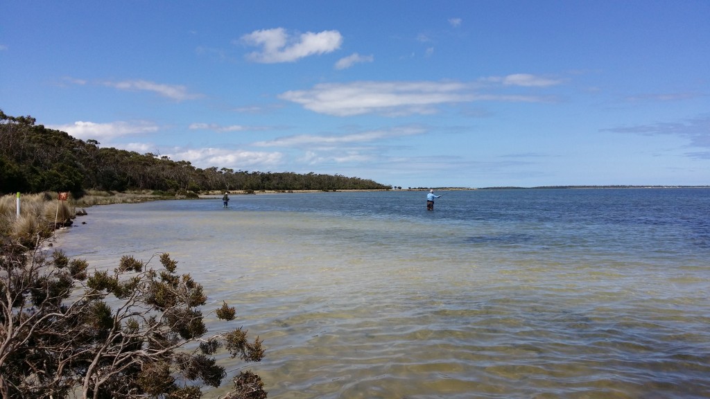 Out fishing – Saltwater Trip December 2013 - Calder Fly Fishing ...